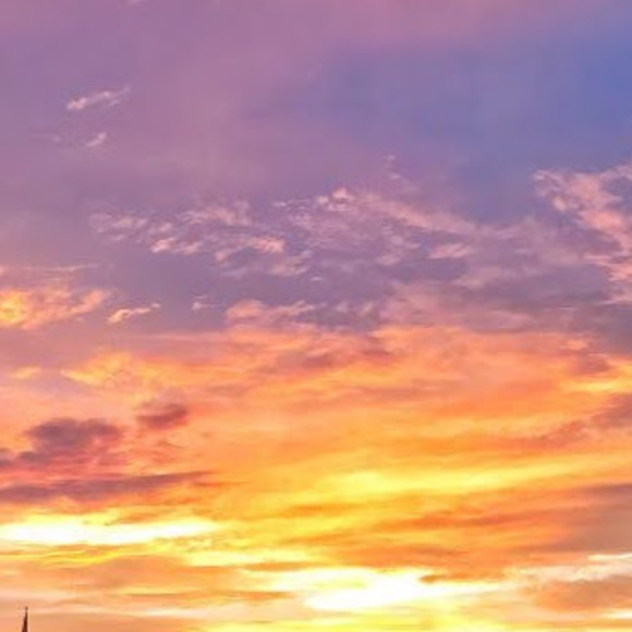 Meet your Posher, Michael - Picture 1 of 1